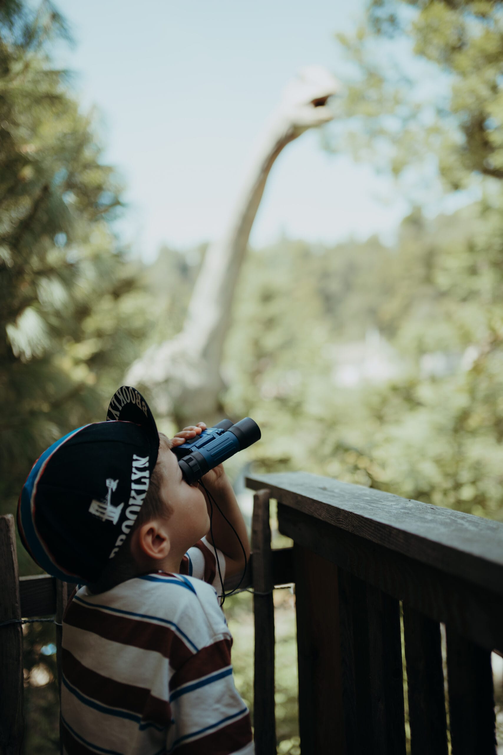 kidywolf verrekijker op vakantie