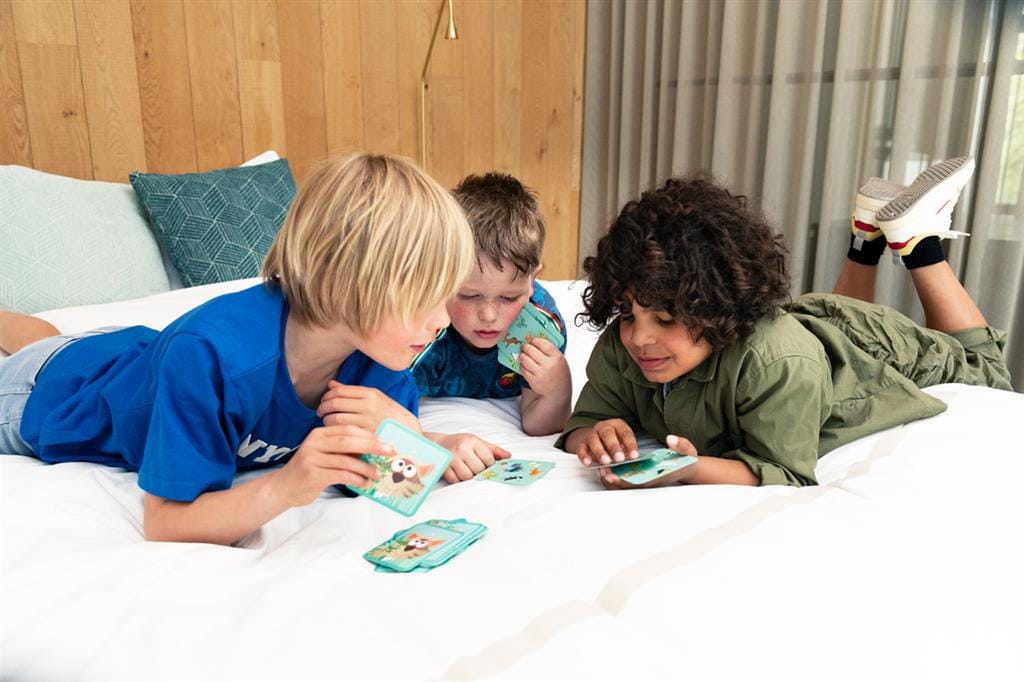 Scratch_Europe_Raccoon_Match_kaartspel Educatief kaartspel Raccoon Match vanaf 5 jaar